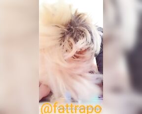 Fat Trapo aka fattrapo OnlyFans Video - 03-28-2023 - POV you fucking me uwu