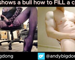 Danni_Longdong aka danni_longdong - 03-14-2024 OnlyFans Video - Coming Saturday Danni shows a bull how to FILL a Condom