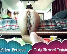 Ms Petra Petrova ‌‌‌‌‌‌ aka sashinka2cute - 11-30-2021 OnlyFans Video - Electrify my Tushy Check your DMs for the full video