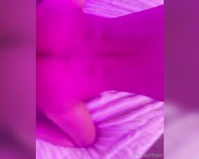 TS Femkittten aka femkittten - 11-21-2021 OnlyFans Video - Ankha  She was really horny tehehe Thank you jb_aj