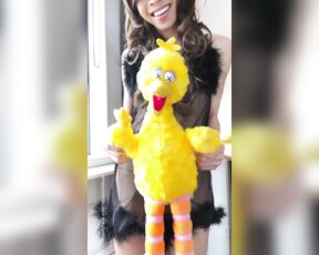 Sashimi Shush aka sashimishush - 08-16-2020 OnlyFans Video - Big bird says hello