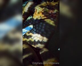 TS Coelhinha aka lilithtrans - 04-24-2021 OnlyFans Video - the Coelhinha in Snake Skin video is cumming tomorrow  Are you ready to play with