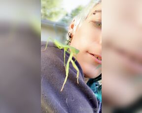 SoftBoxBoi aka boxieboii - 09-09-2022 OnlyFans Video - We found a mantis in our garden