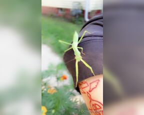 SoftBoxBoi aka boxieboii - 09-09-2022 OnlyFans Video - We found a mantis in our garden