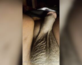 Myasotrans‍ aka myasotrans - 04-08-2022 OnlyFans Video - I got rid of the hair for now on my pussy area, you like it