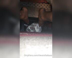 Myasotrans‍ aka myasotrans - 01-14-2023 OnlyFans Video - Who else is jealous of my rabbit getting the goddess treatment from my precious feet_7e36