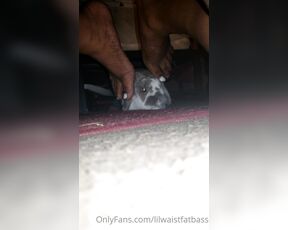 Myasotrans‍ aka myasotrans - 01-14-2023 OnlyFans Video - Who else is jealous of my rabbit getting the goddess treatment from my precious feet