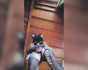 Melissa caro Mejia aka melimejia0305 OnlyFans - Would you like to adopt this kitten can dominate you whenever you want and use you Video complete