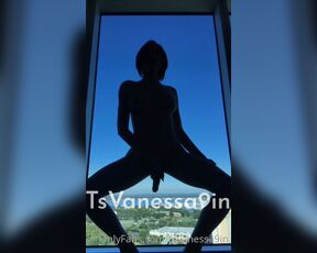 Goddess TsVanessaCartier aka tsvanessa9in OnlyFans - The city gave me a nice view    so I returned the favor