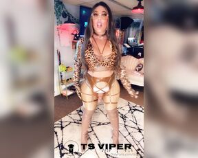 Ts Viper aka tsviper OnlyFans - Miss brown leopard opera pvc gloves, hold heels nice cumshot