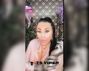 Ts Viper aka tsviper OnlyFans - SEND ME YOUR CUMSHOTS IN THE MSGS , I WANNA SEE IF YOU SHOOT MORE, THE